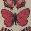 jazzygems15